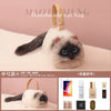 Siamese Cat