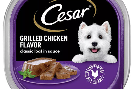 Cesar Classic Loaf in Sauce Grilled Chicken and Gravy Flavor Small Breed Wet Dog Food - 3.5Oz