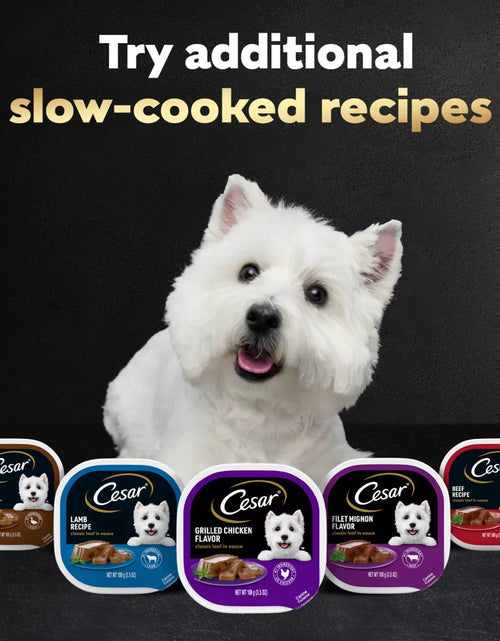 Load image into Gallery viewer, Cesar Classic Loaf in Sauce Grilled Chicken and Gravy Flavor Small Breed Wet Dog Food - 3.5Oz
